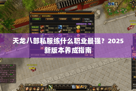 天龙八部私服练什么职业最强?2025新版本养成指南 天龙八部私服练什么职业最强?2025新版本养成指南