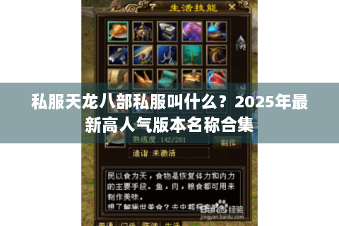 私服天龙八部私服叫什么？2025年最新高人气版本名称合集