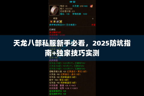 天龙八部私服新手必看，2025防坑指南+独家技巧实测