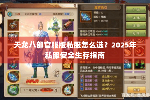 天龙八部官服版私服怎么选？2025年私服安全生存指南