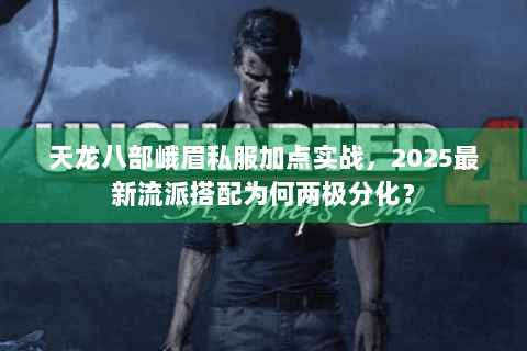 天龙八部峨眉私服加点实战，2025最新流派搭配为何两极分化？