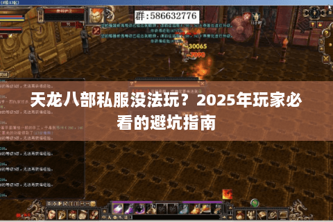 天龙八部私服没法玩？2025年玩家必看的避坑指南
