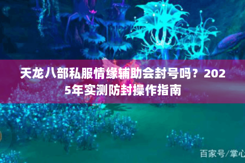 天龙八部私服情缘辅助会封号吗？2025年实测防封操作指南