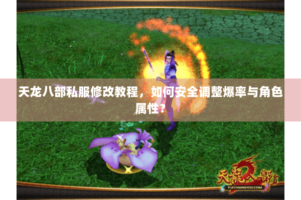 天龙八部私服修改教程，如何安全调整爆率与角色属性？