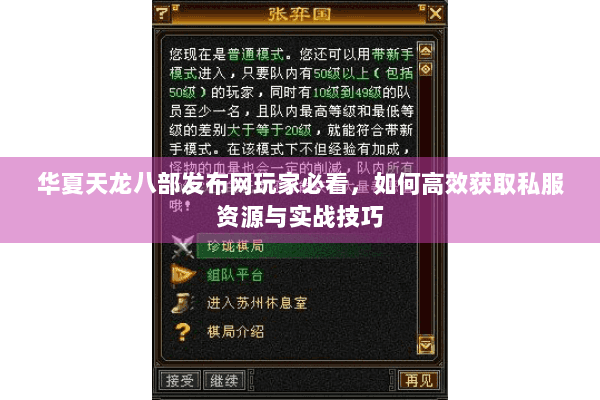 华夏天龙八部发布网玩家必看，如何高效获取私服资源与实战技巧
