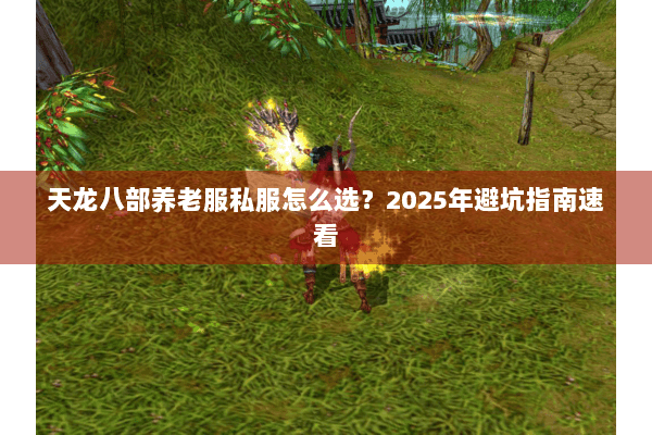 天龙八部养老服私服怎么选？2025年避坑指南速看