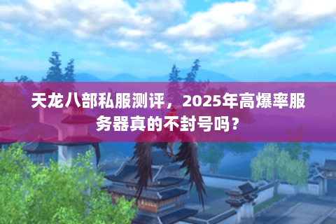天龙八部私服测评，2025年高爆率服务器真的不封号吗？