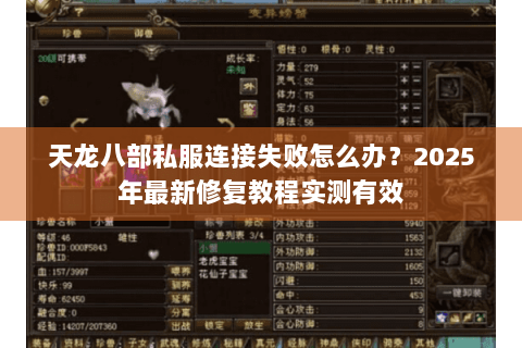 天龙八部私服连接失败怎么办？2025年最新修复教程实测有效