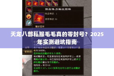 天龙八部私服毛毛真的零封号？2025年实测避坑指南