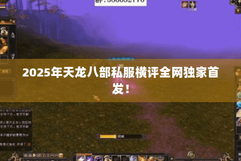 2025年天龙八部私服横评全网独家首发！