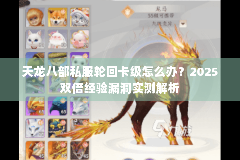 天龙八部私服轮回卡级怎么办？2025双倍经验漏洞实测解析