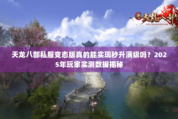 天龙八部私服变态版真的能实现秒升满级吗？2025年玩家实测数据揭秘