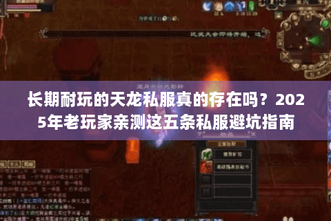 长期耐玩的天龙私服真的存在吗？2025年老玩家亲测这五条私服避坑指南