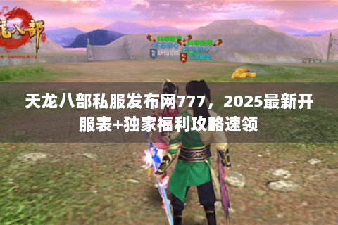 天龙八部私服发布网777，2025最新开服表+独家福利攻略速领
