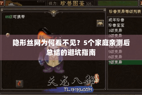 隐形丝网为何看不见？5个家庭亲测后总结的避坑指南