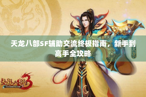 天龙八部SF辅助交流终极指南，新手到高手全攻略