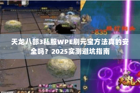 天龙八部3私服WPE刷元宝方法真的安全吗？2025实测避坑指南