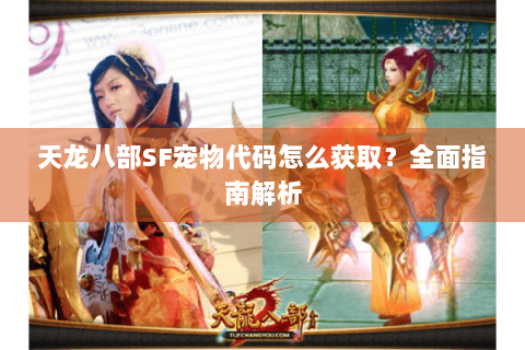 天龙八部SF宠物代码怎么获取？全面指南解析