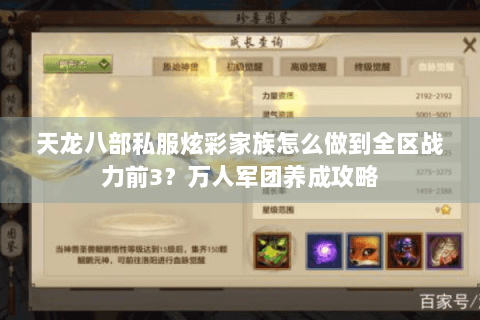 天龙八部私服炫彩家族怎么做到全区战力前3？万人军团养成攻略