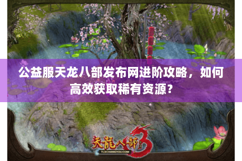 公益服天龙八部发布网进阶攻略，如何高效获取稀有资源？