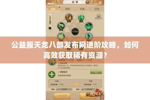 公益服天龙八部发布网进阶攻略，如何高效获取稀有资源？