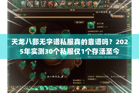 天龙八部无字谱私服真的靠谱吗？2025年实测30个私服仅1个存活至今