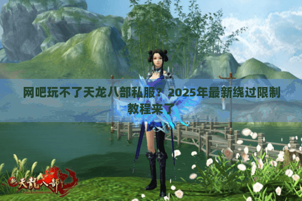 网吧玩不了天龙八部私服？2025年最新绕过限制教程来了