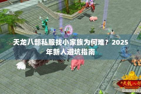 天龙八部私服找小家族为何难？2025年新人避坑指南