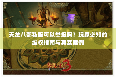 天龙八部私服可以举报吗？玩家必知的维权指南与真实案例