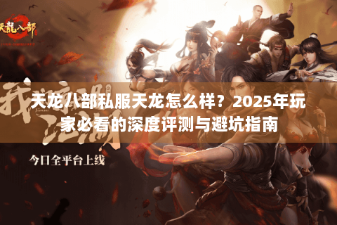 天龙八部私服天龙怎么样？2025年玩家必看的深度评测与避坑指南