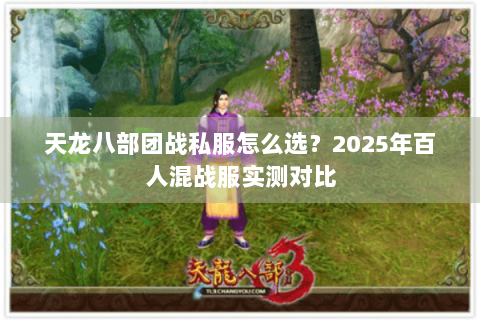 天龙八部团战私服怎么选？2025年百人混战服实测对比