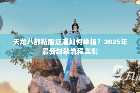 天龙八部私服泛滥如何举报？2025年最新封禁流程实测