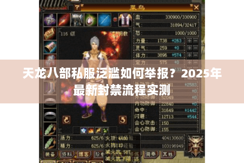 天龙八部私服泛滥如何举报？2025年最新封禁流程实测