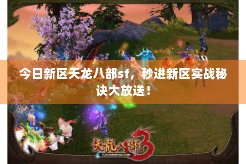 今日新区天龙八部sf，秒进新区实战秘诀大放送！
