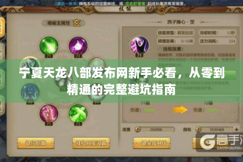 宁夏天龙八部发布网新手必看，从零到精通的完整避坑指南