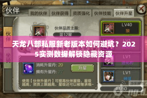 天龙八部私服新老版本如何避坑？2025实测数据解锁隐藏资源