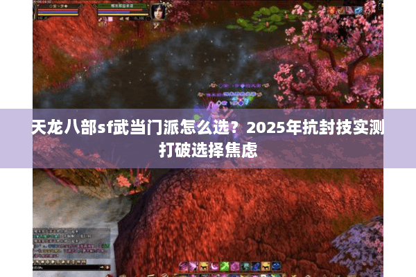 天龙八部sf武当门派怎么选？2025年抗封技实测打破选择焦虑