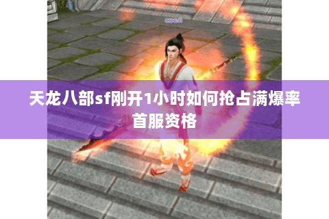 天龙八部sf刚开1小时如何抢占满爆率首服资格