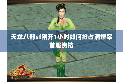 天龙八部sf刚开1小时如何抢占满爆率首服资格