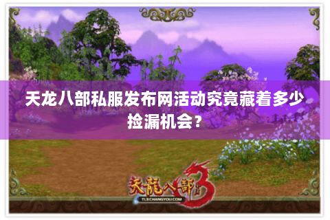 天龙八部私服发布网活动究竟藏着多少捡漏机会？
