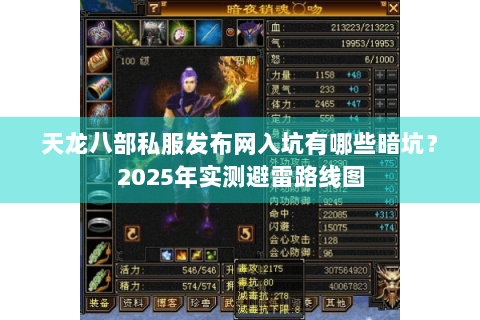 天龙八部私服发布网入坑有哪些暗坑？2025年实测避雷路线图