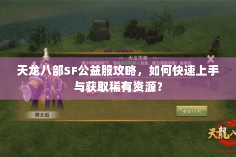 天龙八部SF公益服攻略，如何快速上手与获取稀有资源？