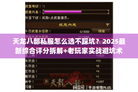 天龙八部私服怎么选不踩坑？2025最新综合评分拆解+老玩家实战避坑术