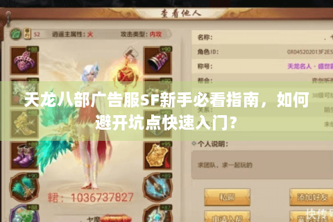 天龙八部广告服SF新手必看指南，如何避开坑点快速入门？