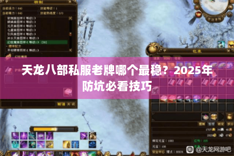 天龙八部私服老牌哪个最稳？2025年防坑必看技巧