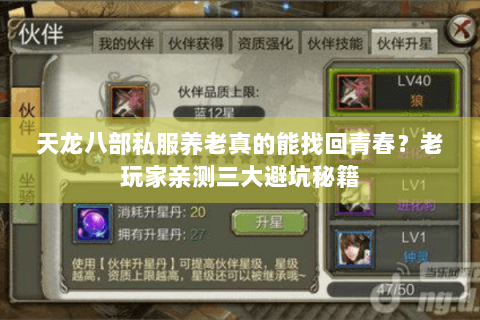 天龙八部私服养老真的能找回青春？老玩家亲测三大避坑秘籍