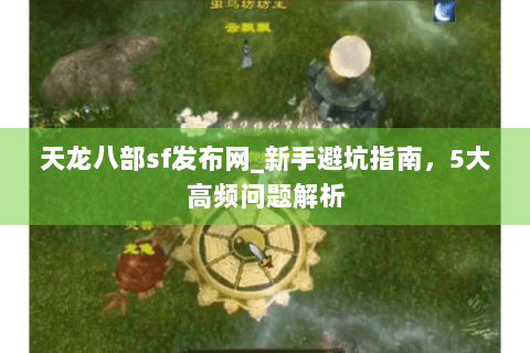 天龙八部sf发布网_新手避坑指南，5大高频问题解析