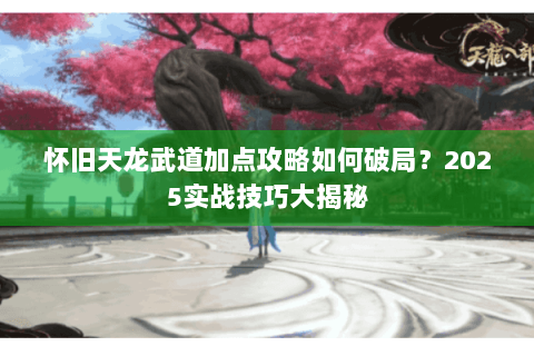 怀旧天龙武道加点攻略如何破局？2025实战技巧大揭秘
