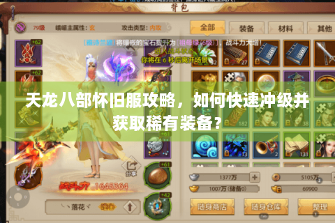 天龙八部怀旧服攻略，如何快速冲级并获取稀有装备？