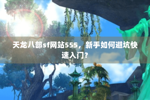 天龙八部sf网站555，新手如何避坑快速入门？